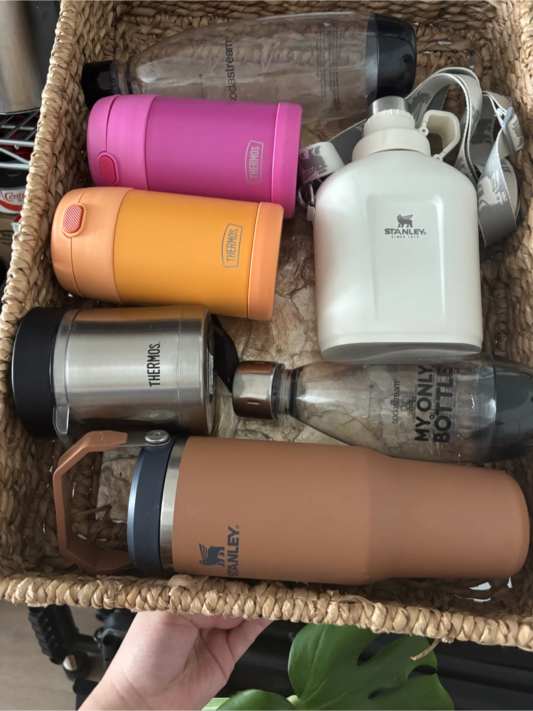 Assorted Bottles and Food Jars