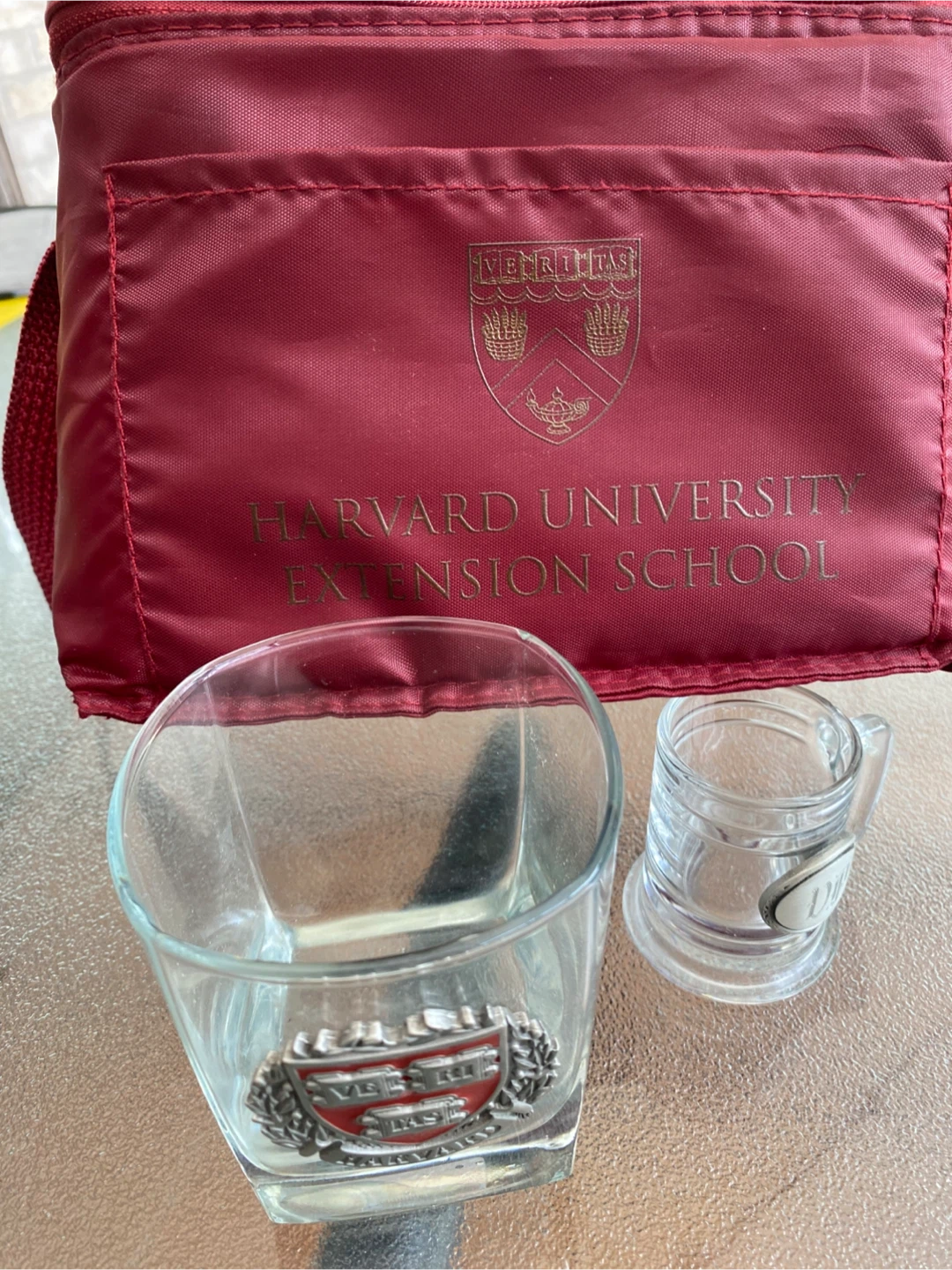 Harvard University Glass Set and Cooler Bag
