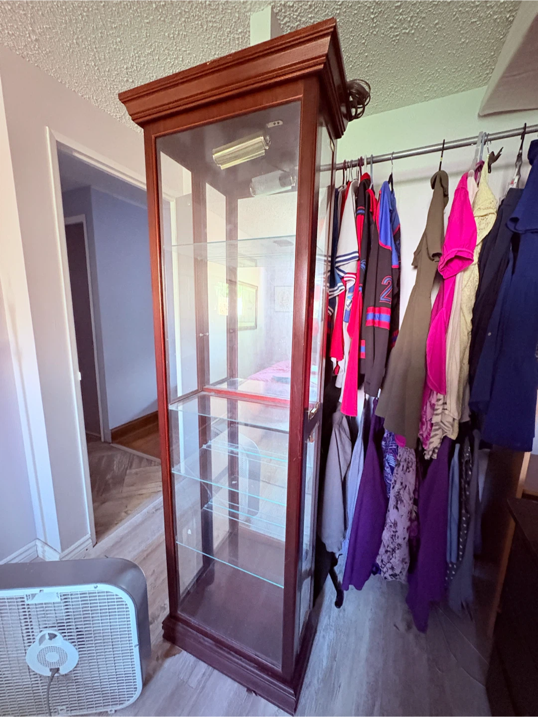 Tall Wooden Display Cabinet with Glass Shelves