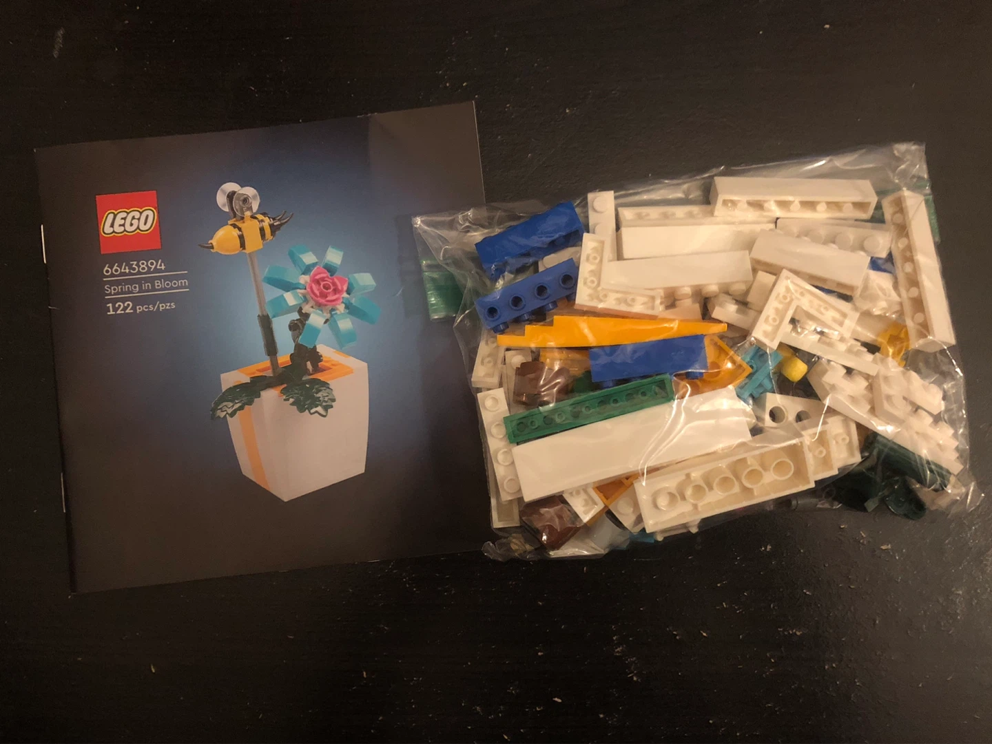 LEGO Spring in Bloom 6643894🏈