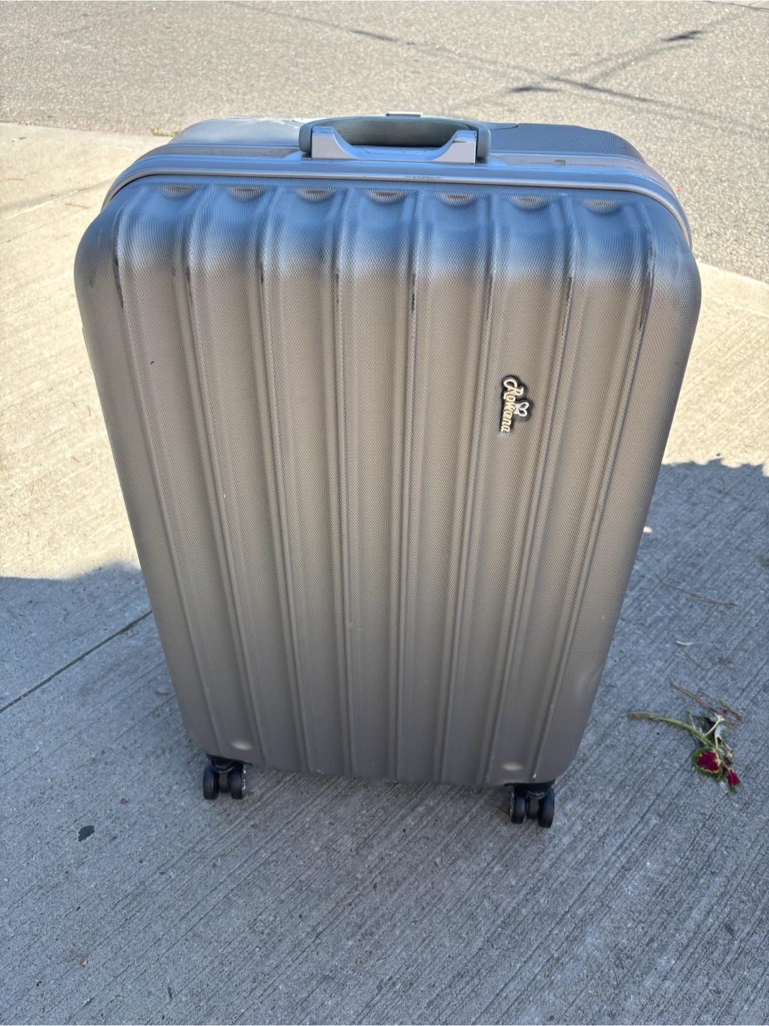 Large Rowana Silver Hardshell Spinner Luggage