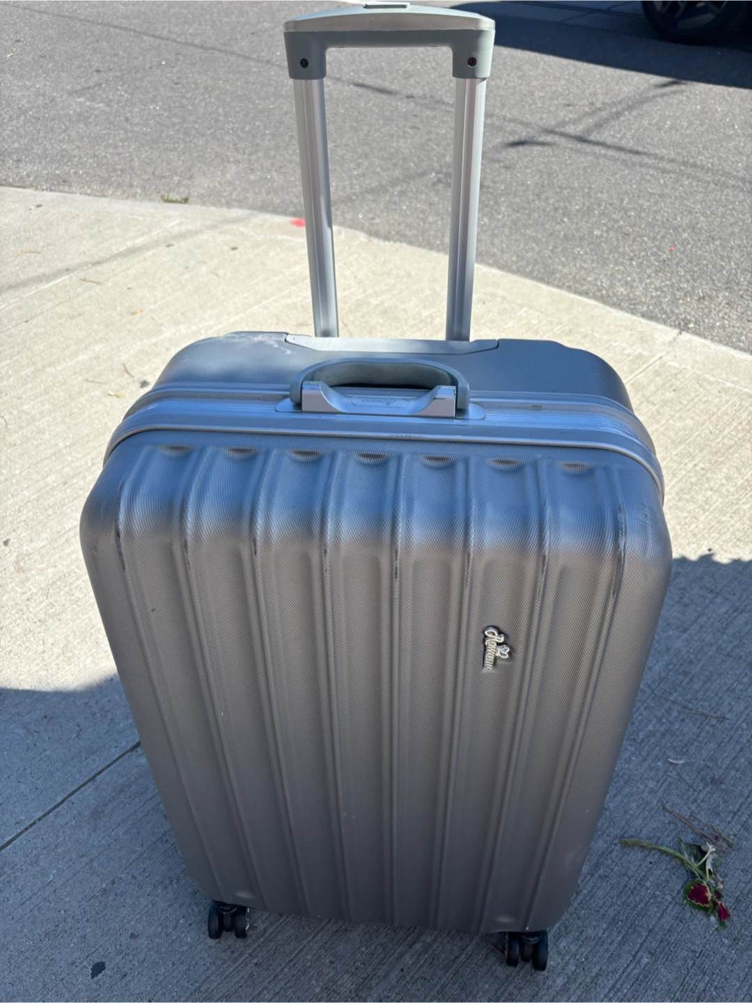 Large Rowana Silver Hardshell Spinner Luggage - photo 2