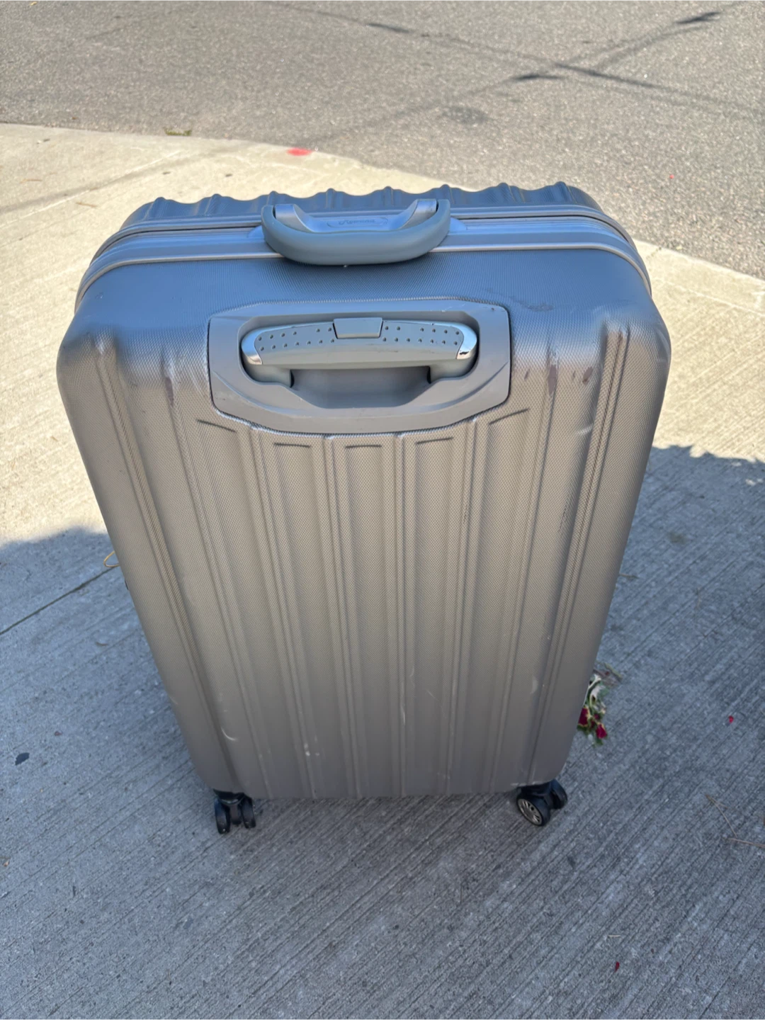 Large Rowana Silver Hardshell Spinner Luggage - photo 5