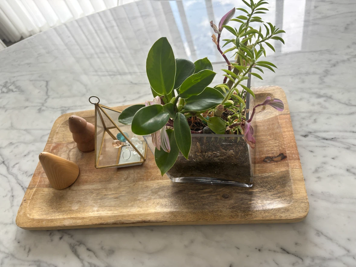 Decorative Wooden Tray with Plants in Glass Pot
