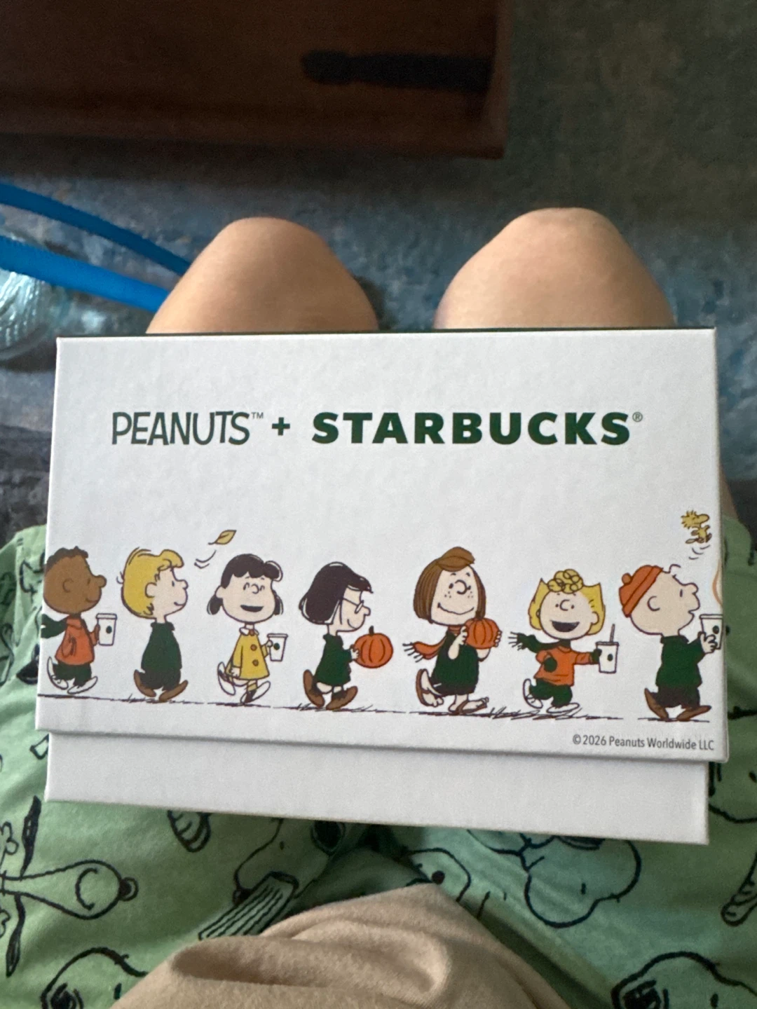 Starbucks Peanuts Collaboration Mug