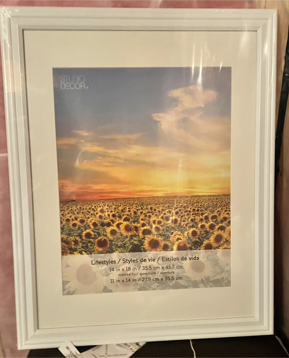 Studio Decor Picture Frame 14 in x 18 in