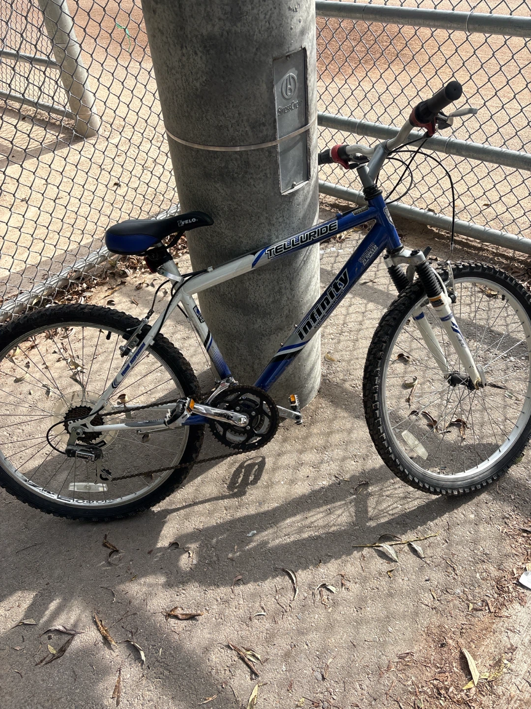 Infinity Telluride 21-Speed Mountain Bike
