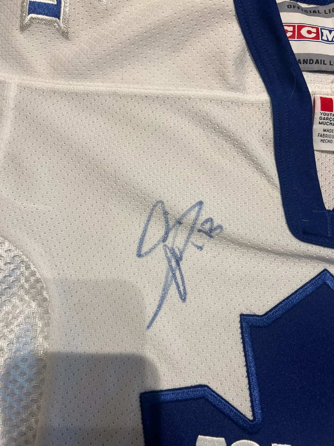 Toronto Maple Leafs Youth Jersey Signed Mats Sundin Tie Domi - photo 3