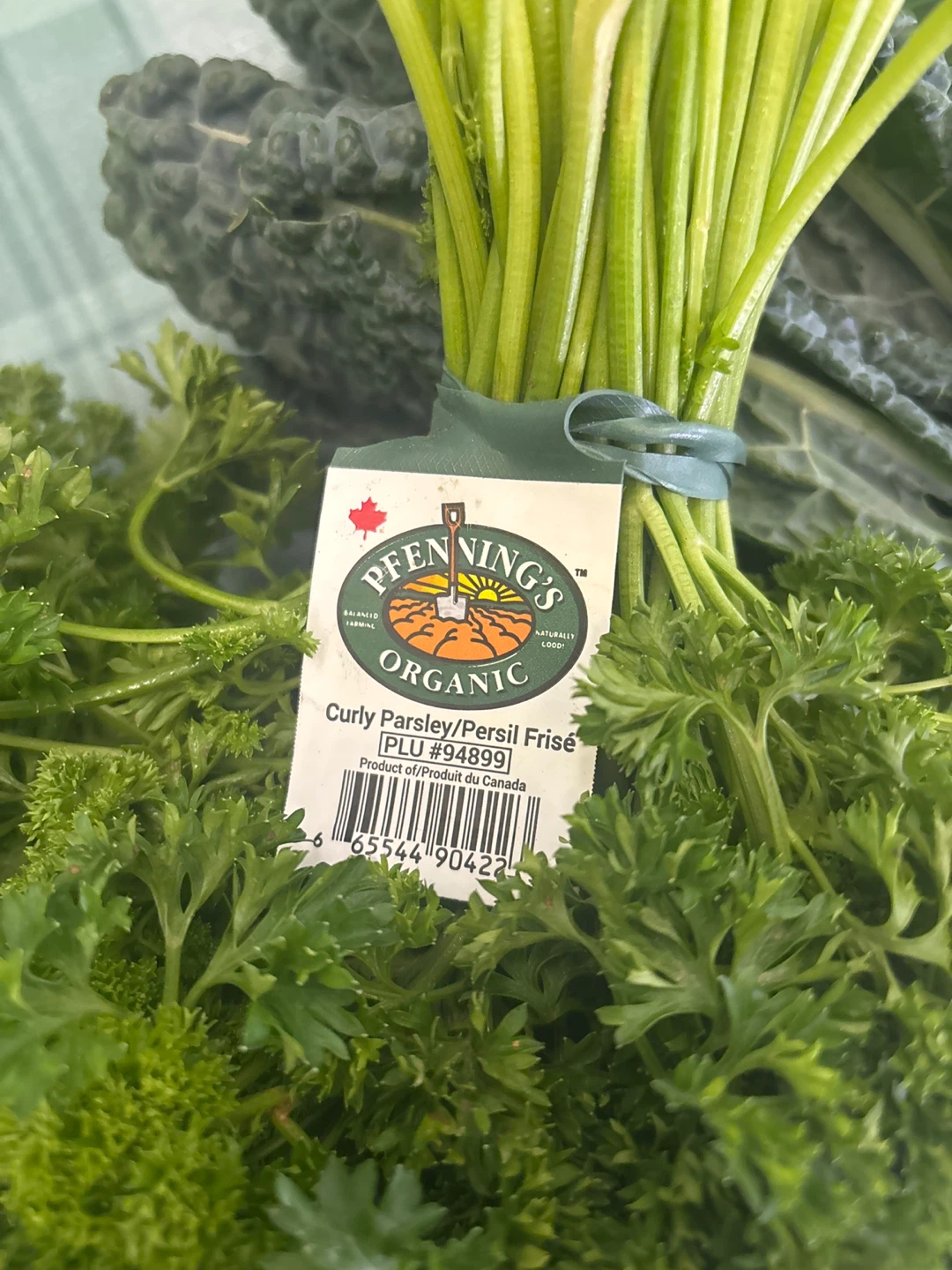 Pfenning's Organic Kale, Parsley, and Lettuce - photo 2