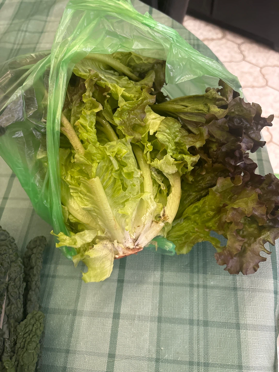 Pfenning's Organic Kale, Parsley, and Lettuce - photo 4
