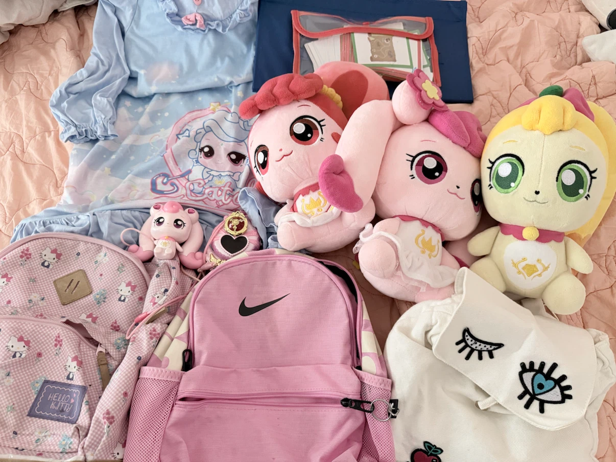 Assorted Plush Toys & PJ dress etc