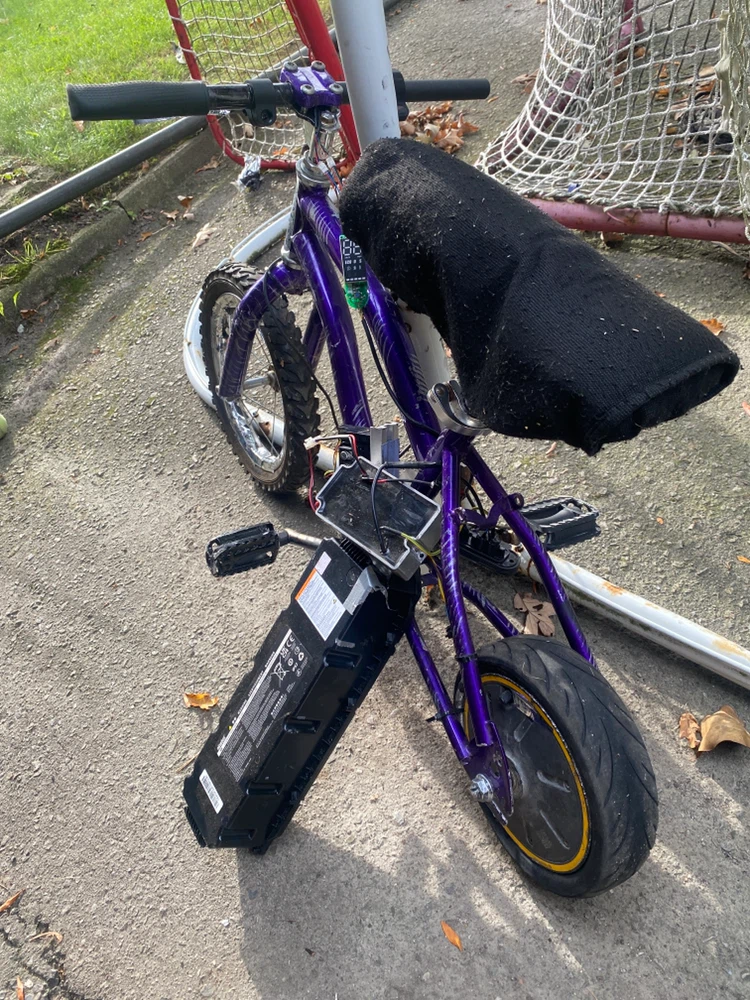 Custom Ninebot Battery Electric Bicycle Project - photo 4