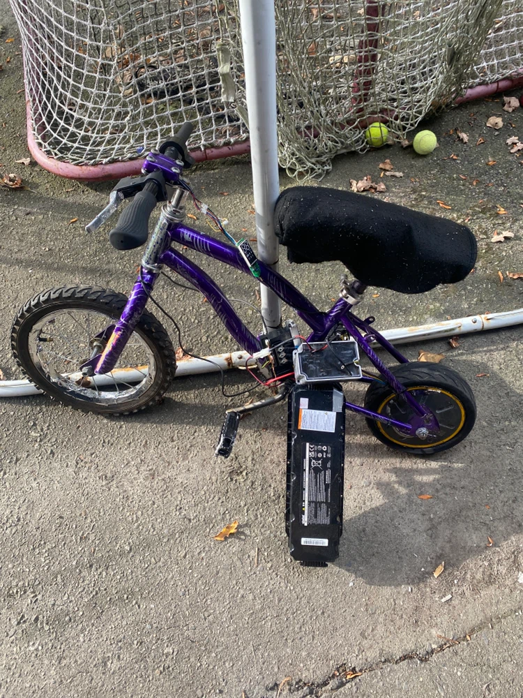 Custom Electric Kids Bike with Ninebot Battery