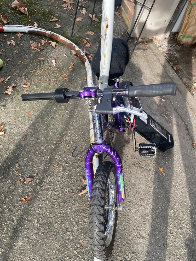 Custom Electric Kids Bike with Ninebot Battery - photo 4