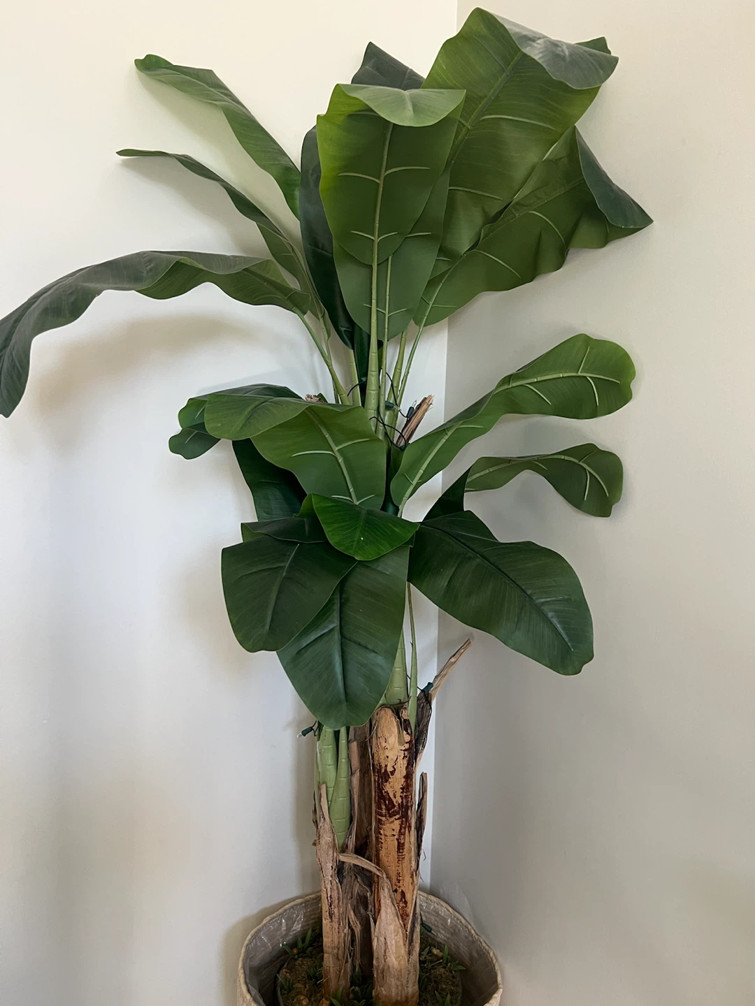 Artificial Banana Leaf Plant in Woven Basket