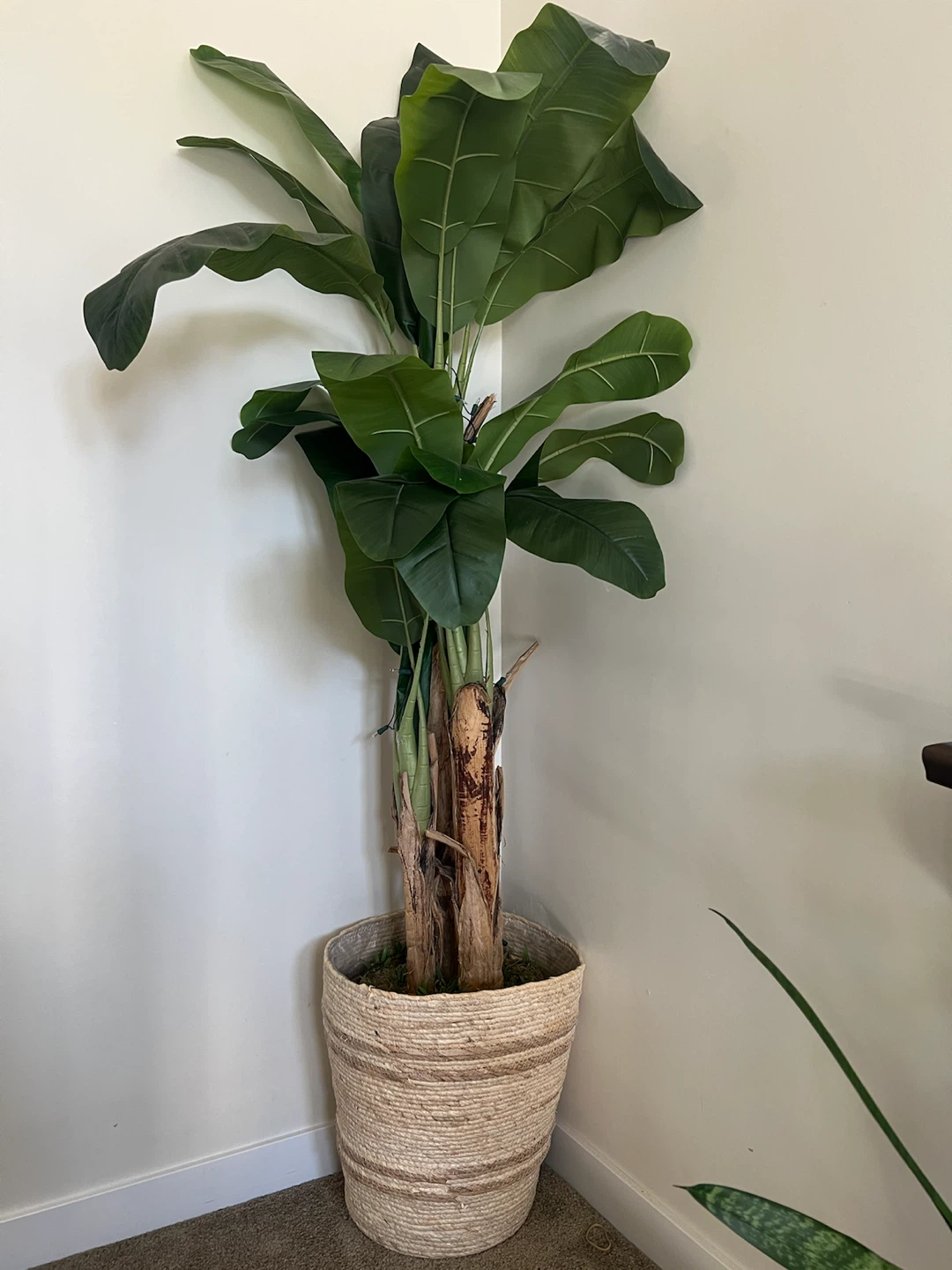 Artificial Banana Leaf Plant in Woven Basket - photo 2