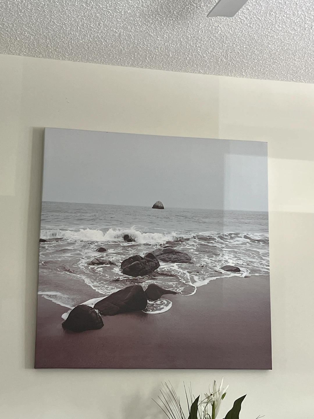 Ocean Shoreline Wall Canvas Art