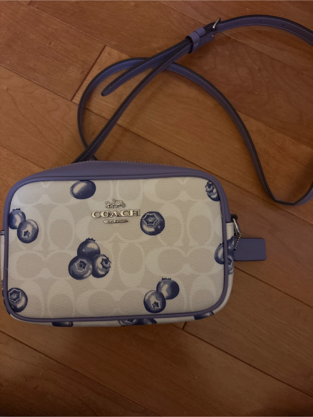 Coach Blueberry Print Crossbody Bag