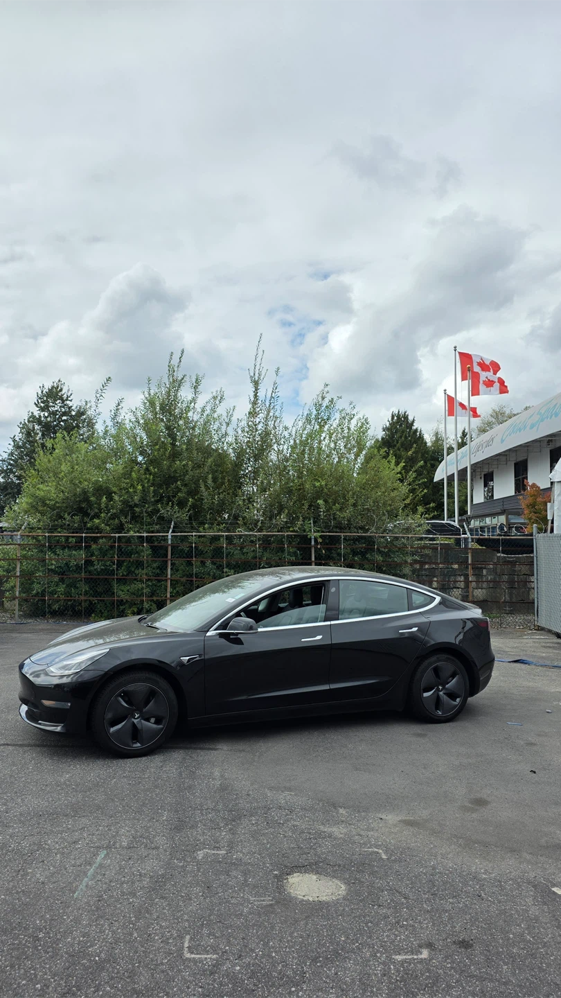2019 Tesla Model 3 - photo 2