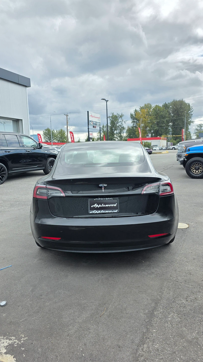 2019 Tesla Model 3 - photo 4