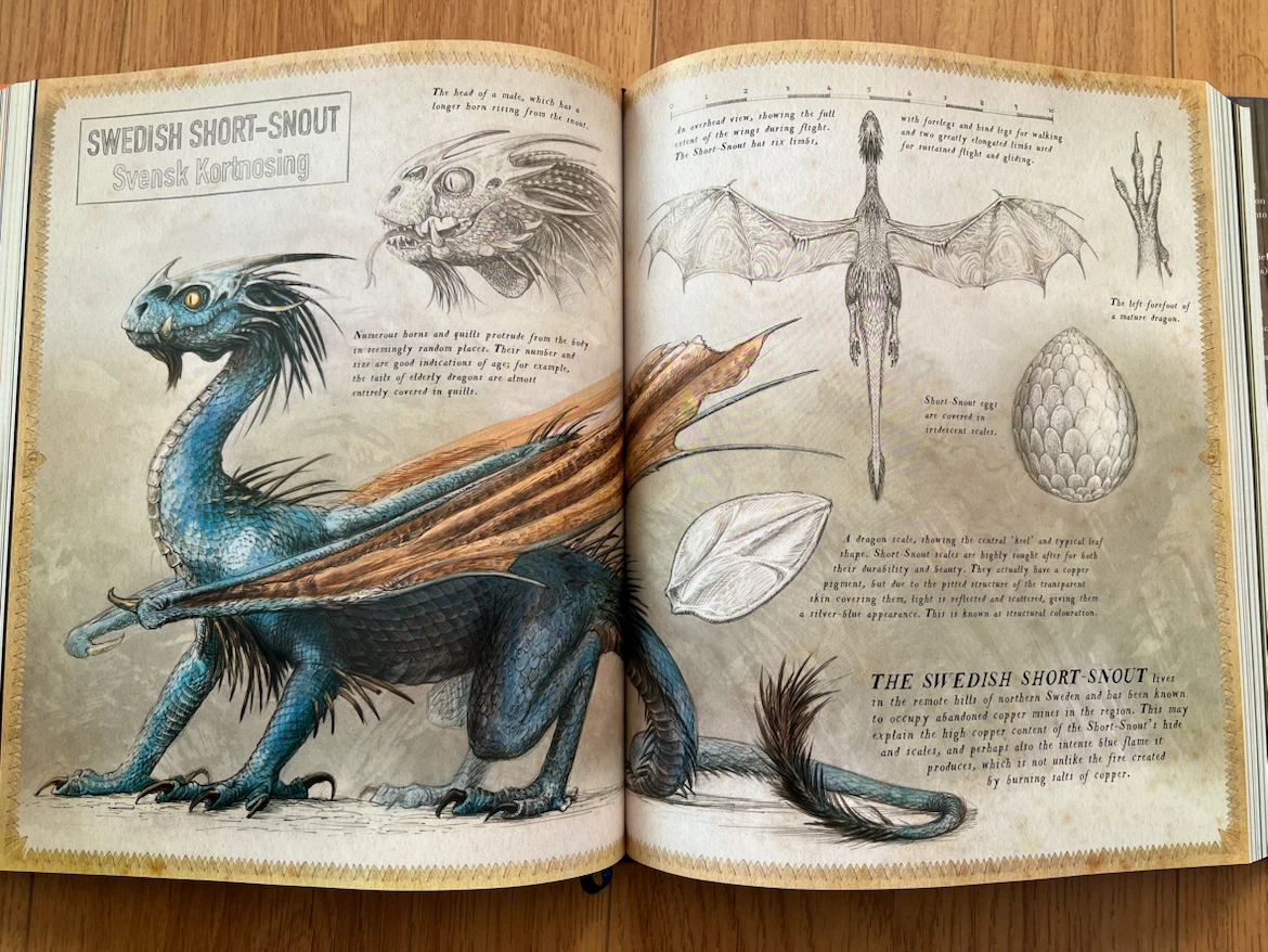 Harry Potter and the Goblet of Fire Illustrated Edition - photo 4