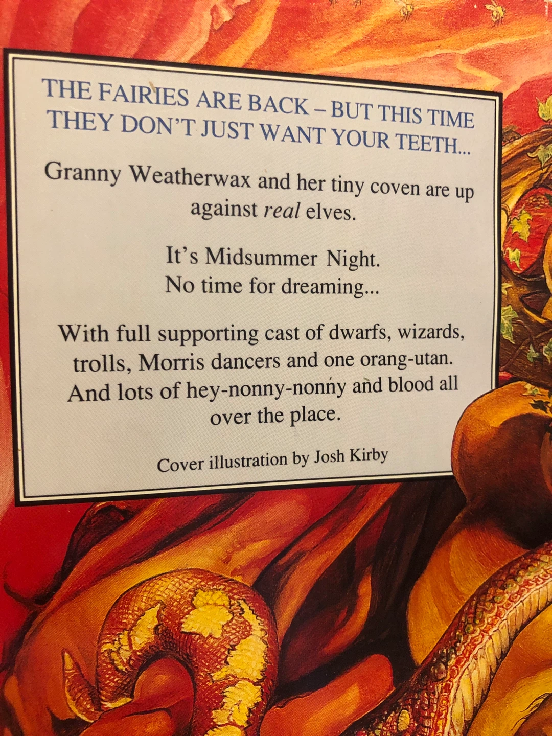 Lords and Ladies by Terry Pratchett 🏈 - photo 2
