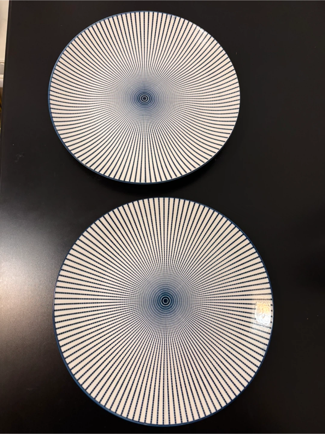 Two CasaModerna Patterned Dinner Plates