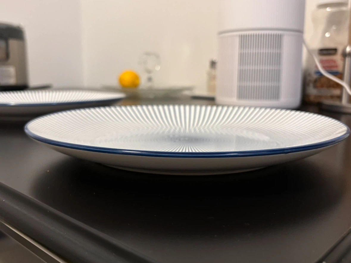 Two CasaModerna Patterned Dinner Plates - photo 3