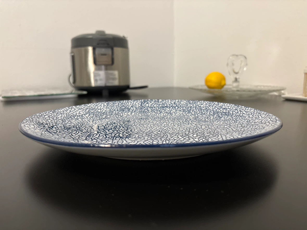 Blue and White Geometric Pattern Plate - photo 3