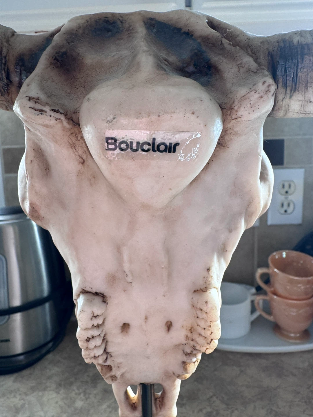 Bouclair decorative bull skull on stand - photo 4