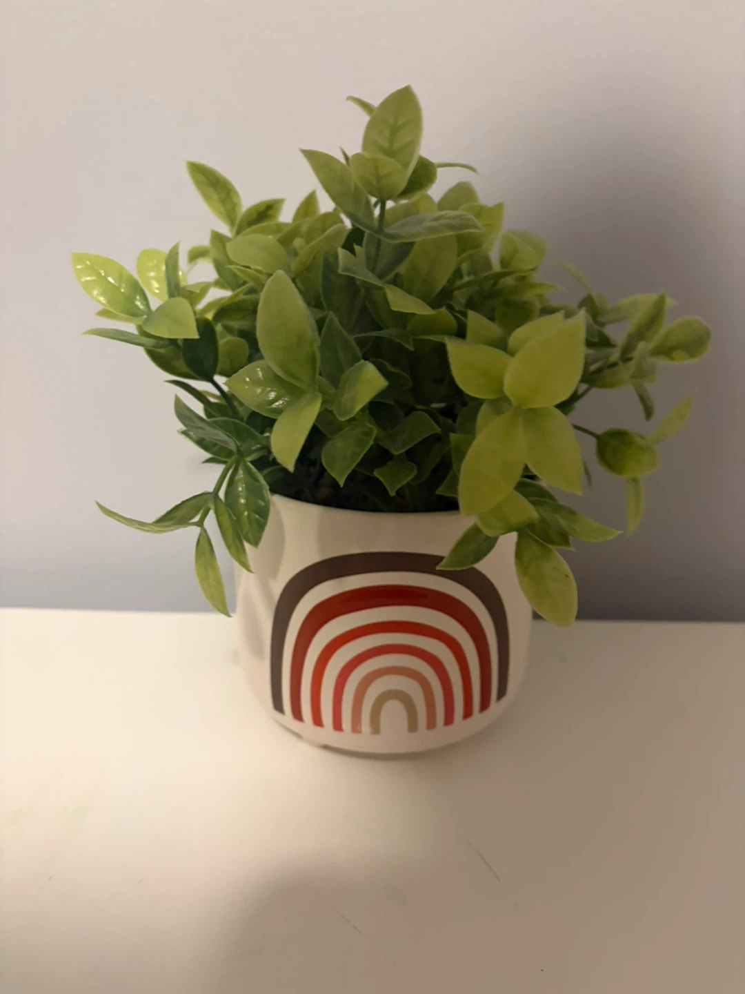 Artificial Potted Plant with Rainbow Pot 🏈