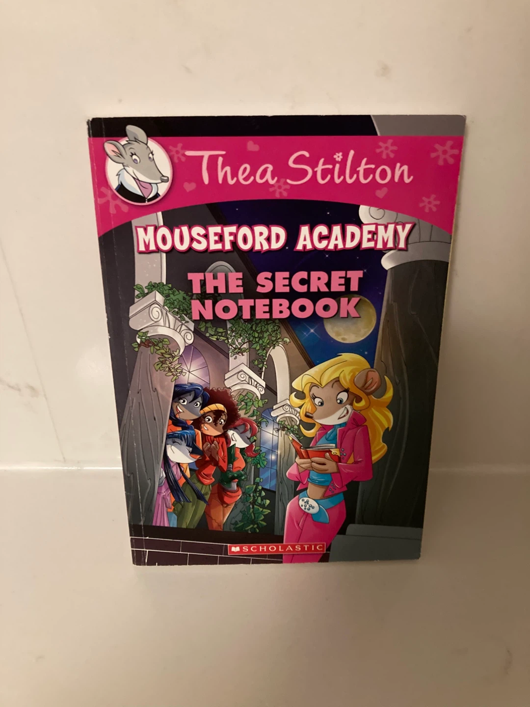 🏈14: Thea Stilton: The Secret Notebook