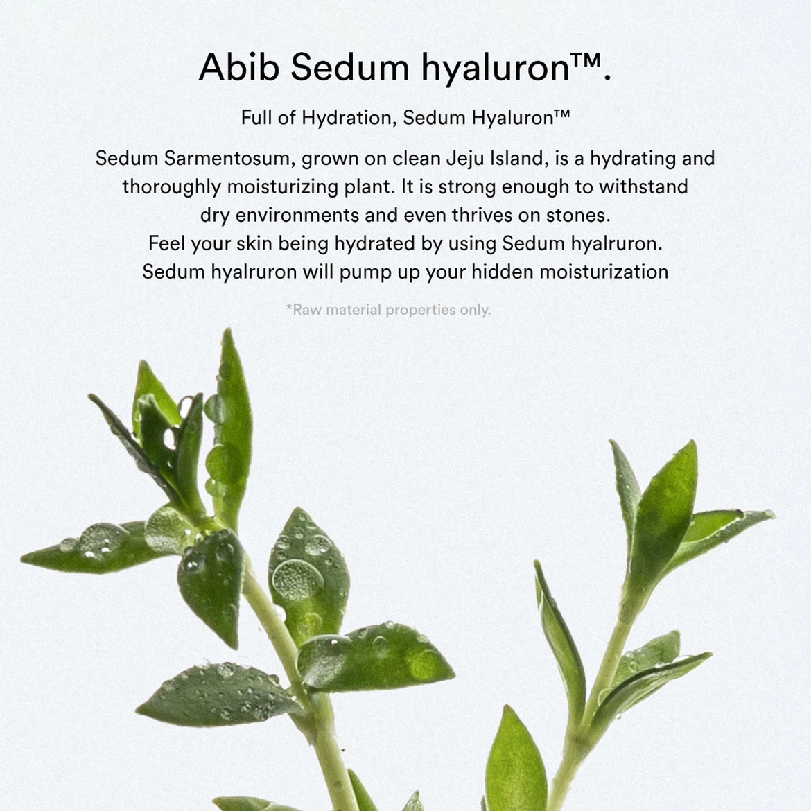 Abib Sedum Hyaluron Pad 🏈 - photo 3