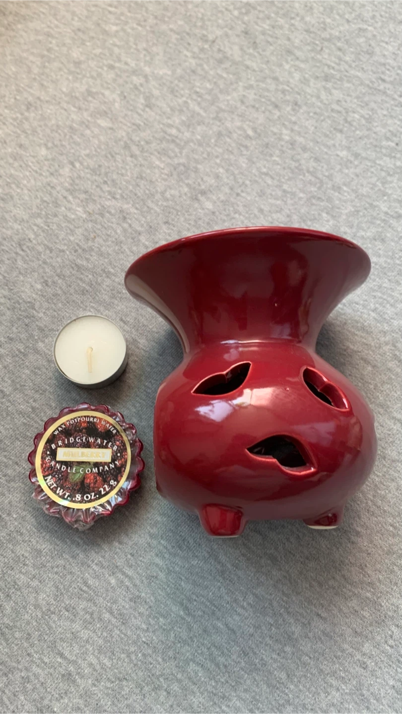 Wax Warmer with Bridgewater Mulberry Wafer 🏈