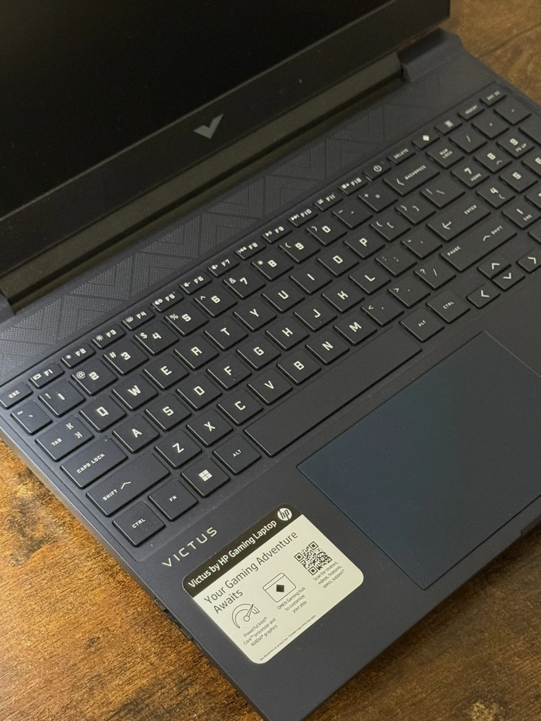 HP Victus Gaming Laptop - photo 3