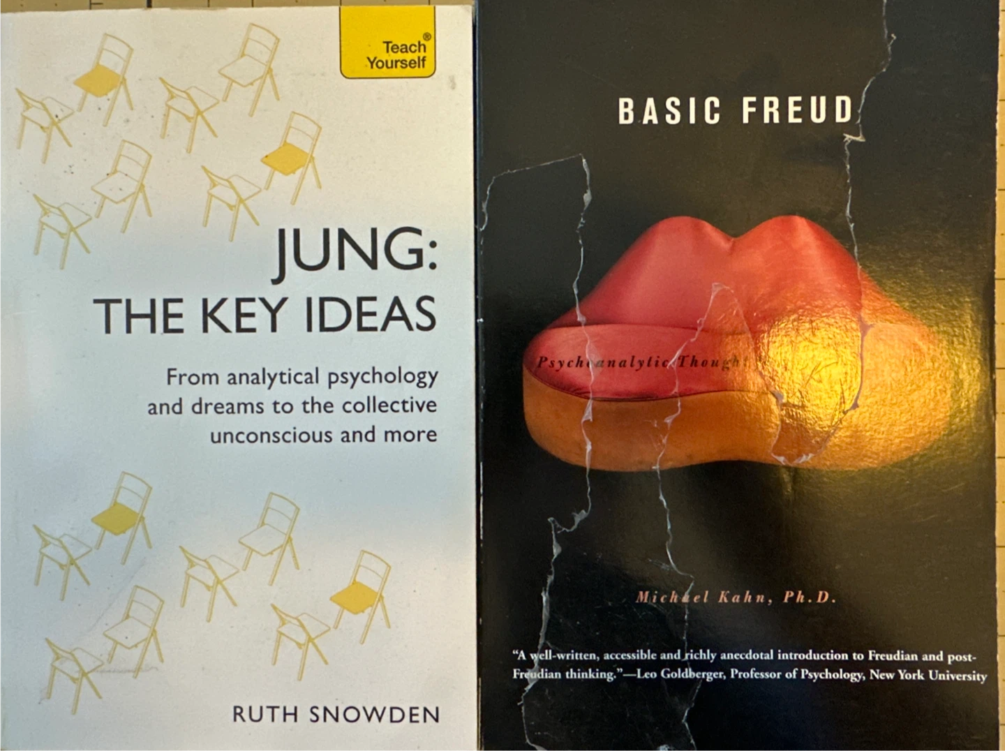 Psychology Books: Jung The Key Ideas & Basic Freud
