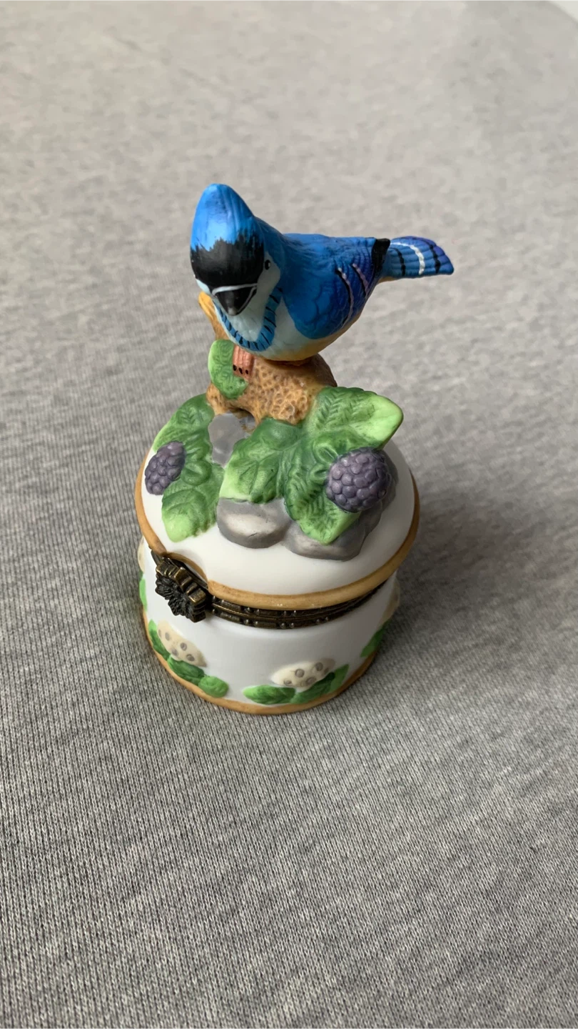 Blue Jay Trinket Box 🏈