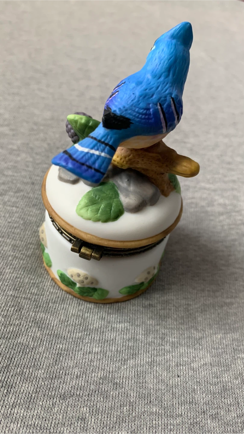 Blue Jay Trinket Box 🏈 - photo 2