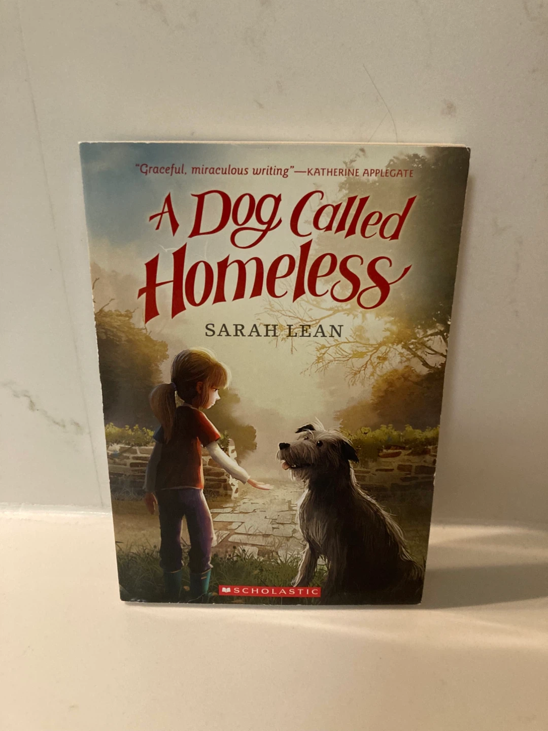 🏈A Dog Called Homeless by Sarah Lean