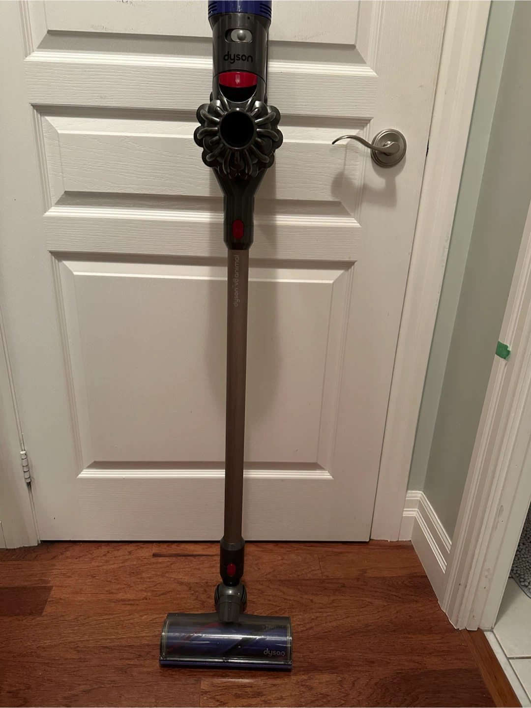 Dyson V8 Animal Cordless Vacuum