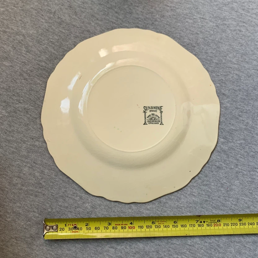 Vintage J&G Meakin Sunshine Black Lion Plate 🏈 - photo 2