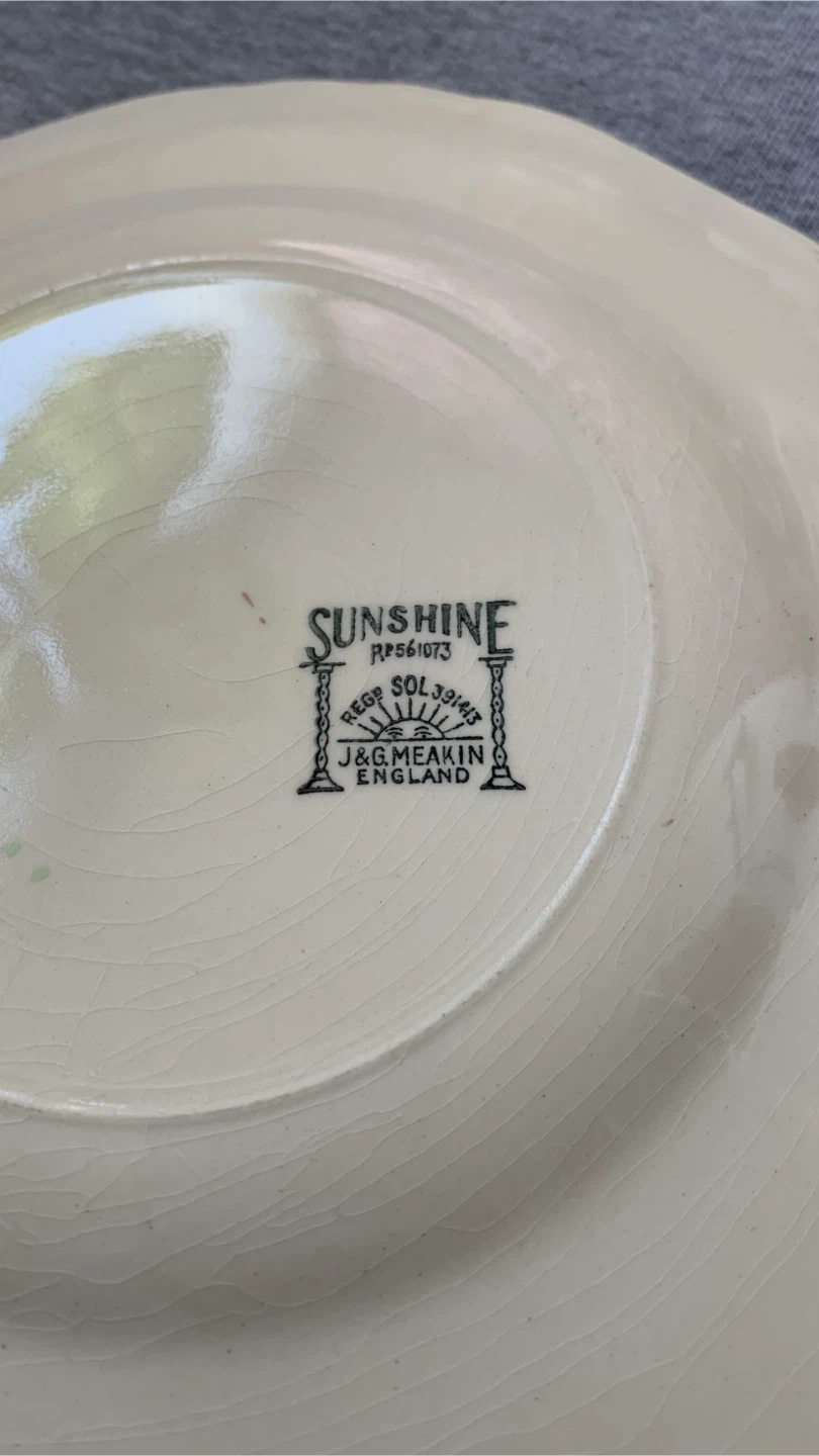Vintage J&G Meakin Sunshine Black Lion Plate 🏈 - photo 3