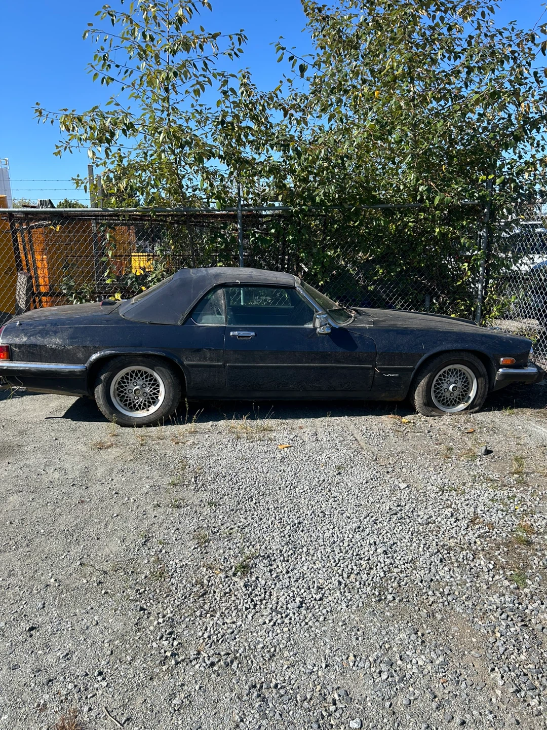 Jaguar XJS V12 Convertible