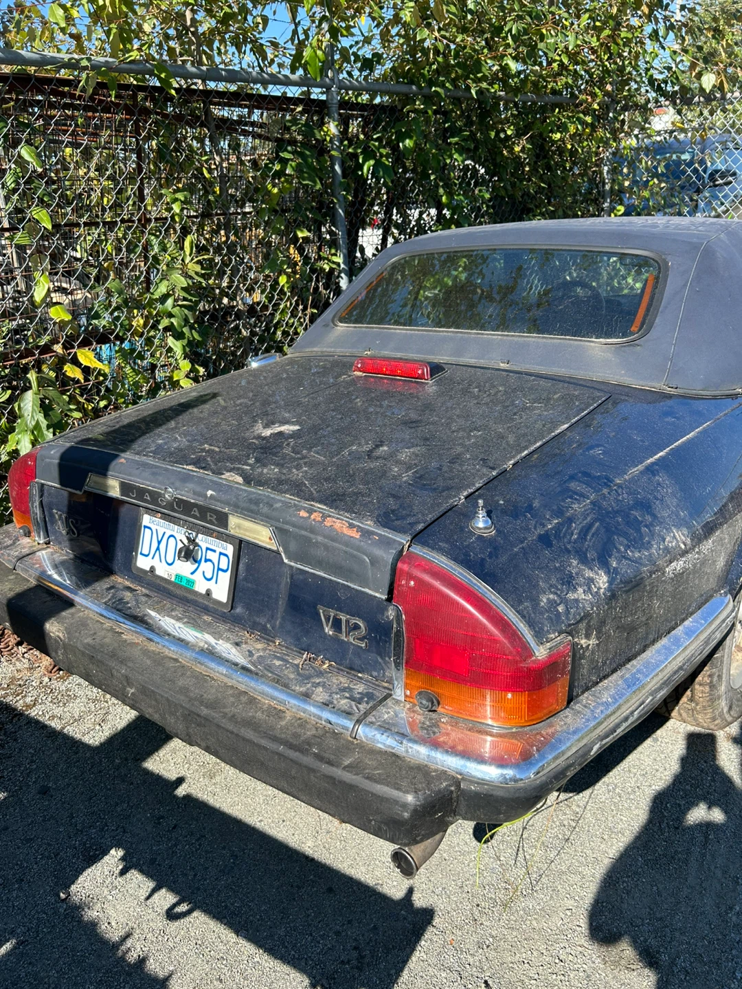 Jaguar XJS V12 Convertible - photo 3