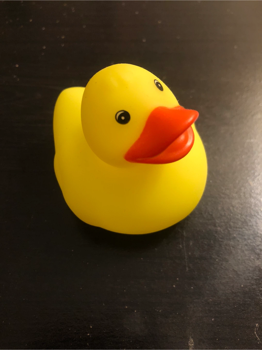 Classic Rubber Duck🏈