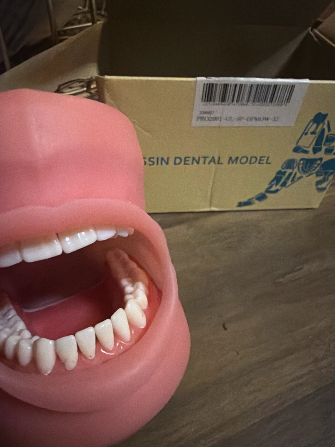 Nissin Dental Model PRO2001 🏈
