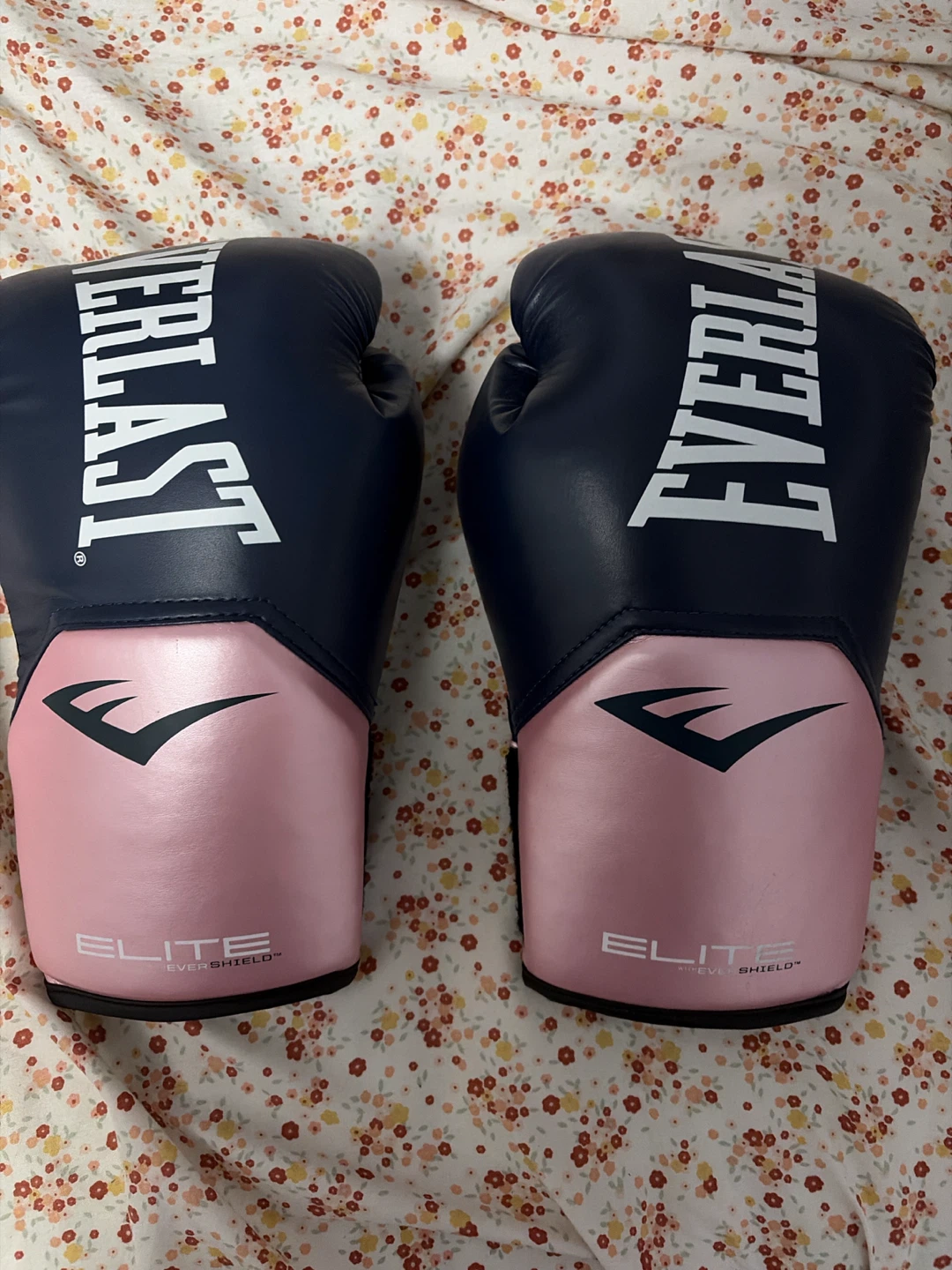Everlast Boxing gloves