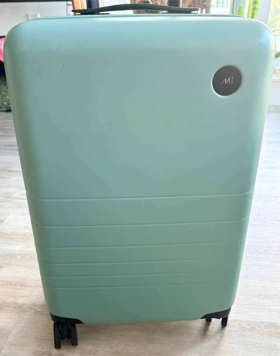 Monos Carry-On Plus Luggage Sage Green