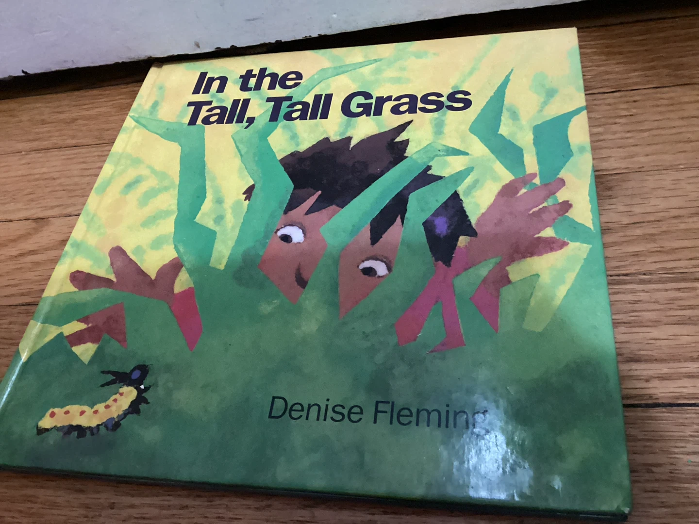 🏈In the Tall, Tall Grass by Denise Fleming