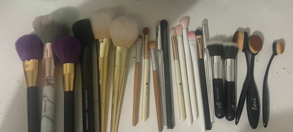 Assorted Makeup Brush Collection + Makeup bag